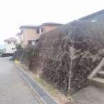 高知市潮見台3丁目 土地 50.01坪 NO11709 画像6 高知市潮見台3丁目 土地 50.01坪 NO11709 画像6